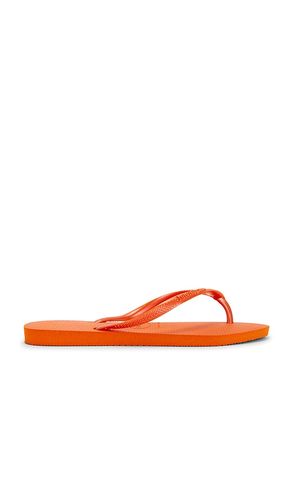 SANDALE SLIM in . Größe 35/36. Also in 39/40 - Havaianas - Modalova