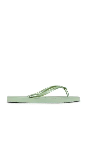 SANDALE SLIM SQUARE in . Größe 35/36. Also in 41/42 - Havaianas - Modalova