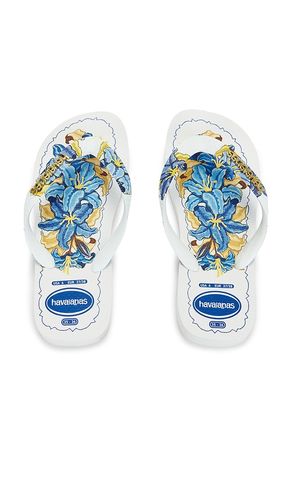 SANDALE TROPICALIA VIBES II in . Größe 35/36. Also in 41/42 - Havaianas - Modalova