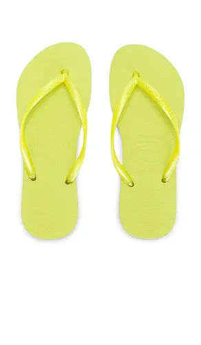 Slim Sandal in . Size 35/36. Also in 41/42 - Havaianas - Modalova
