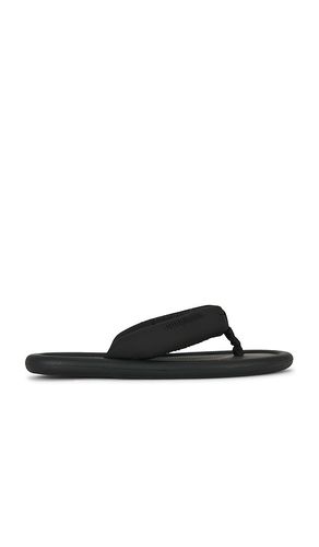 SANDALE MAXI PUFFED in . Größe 35/36. Also in 37/38 - Havaianas - Modalova