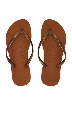 SANDALE SLIM in . Größe 35/36. Also in 41/42 - Havaianas - Modalova