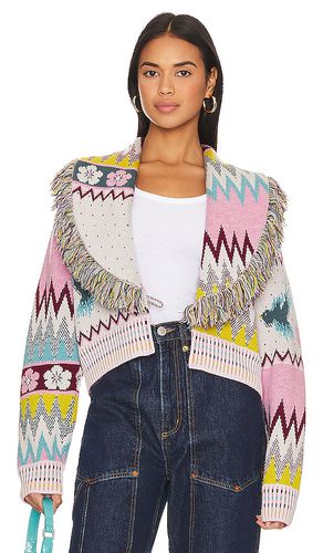 Merino Jacquard Fringe Collar Bomber Cardigan in Pink. - size L (also in M, XL) - Hayley Menzies - Modalova