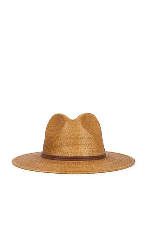 Botero Fedora Hat in Brown. - size S (also in L) - Hemlock Hat Co - Modalova