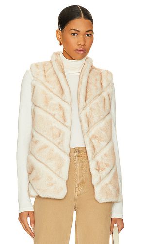 Collins Faux Fur Vest in . Size XS - HEARTLOOM - Modalova