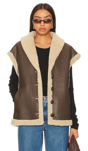 Filippa Faux Leather Vest in . Size S, XS - HEARTLOOM - Modalova
