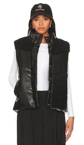 Lobelia Faux Leather Vest in . Size S, XS - HEARTLOOM - Modalova