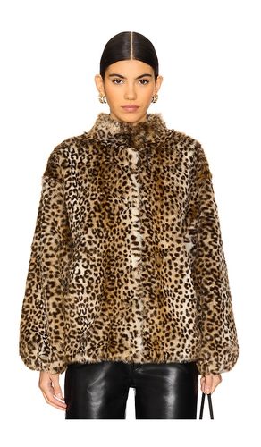 Shireen Coat in . Size S. Also in XS - HEARTLOOM - Modalova