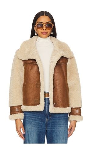 Serena Faux Fur Jacket in . - size S (also in XS) - HEARTLOOM - Modalova