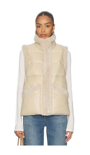 Serra Vest in . Size S. Also in XS - HEARTLOOM - Modalova