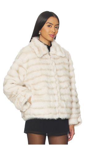 MANTEL CAIRO in . Größe L. Also in XL - HEARTLOOM - Modalova