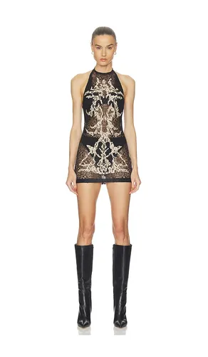 Feather Lace Mini Dress in . Size M. Also in XL - HAELO - Modalova