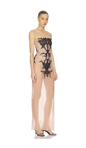 KLEID WING LACE CORSET-DRESS in . Größe L. Also in S, XS, XXS - HAELO - Modalova