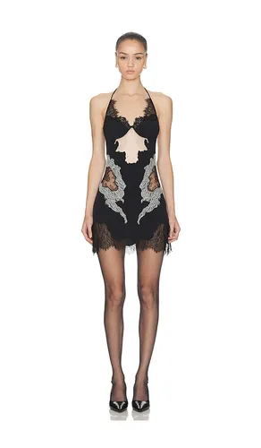 Lace Collage Dress in . Size L. Also in M, S - HAELO - Modalova
