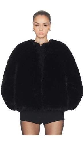 BLOUSONS LONG HAIR FAUX FUR BOMBER in . Größe L. Also in M, XXS - HAELO - Modalova