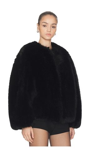 BLOUSONS LONG HAIR FAUX FUR BOMBER in . Größe M. Also in XXS, L - HAELO - Modalova
