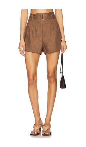 Zinna Short in Brown. - size 10 (also in 12, 2, 4, 6, 8) - HEVRON - Modalova