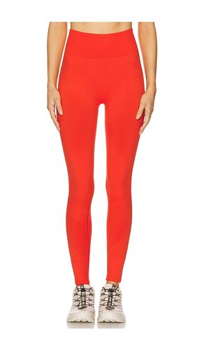 LEGGINGS SOPHIA in . Größe M. Also in L - Halfdays - Modalova