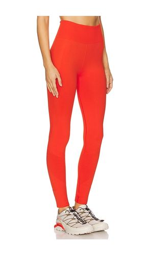 LEGGINGS SOPHIA in . Größe M. Also in L - Halfdays - Modalova