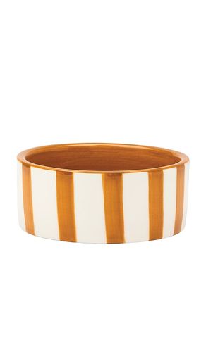 Posavasos en color multi talla all - Here's How - Modalova