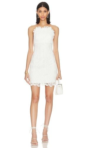 X REVOLVE Scarlett Mini Dress in . - size S (also in XL) - House of Harlow 1960 - Modalova