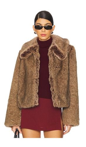 Rynn Coat in . Size M, S, XL - House of Harlow 1960 - Modalova