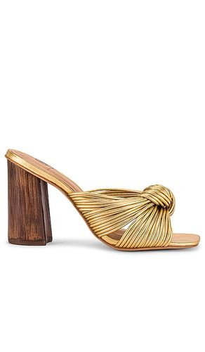 X REVOLVE Multi Strap Knotted Sandal in Metallic . - size 5.5 (also in 7, 7.5, 8, 8.5, 9) - House of Harlow 1960 - Modalova