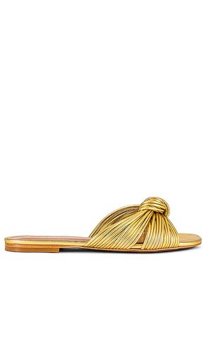 X REVOLVE Billie Flat in Metallic . - size 5.5 (also in 6, 6.5, 7, 7.5, 8, 8.5, 9) - House of Harlow 1960 - Modalova