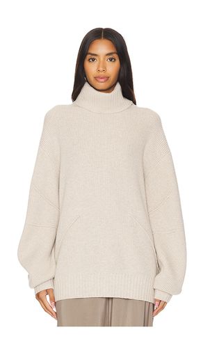 Apex Chunky Turtleneck in Beige. - size L (also in M, S, XL, XS) - Helmut Lang - Modalova