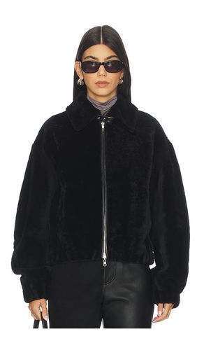 BOMBERJACKE MIT LAMMFELL in . Größe M. Also in XS - Helmut Lang - Modalova