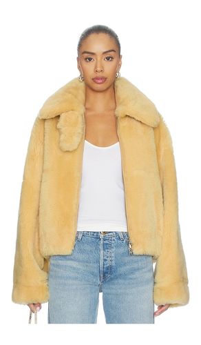 JACKE in . Größe L. Also in M, S, XS - Helmut Lang - Modalova