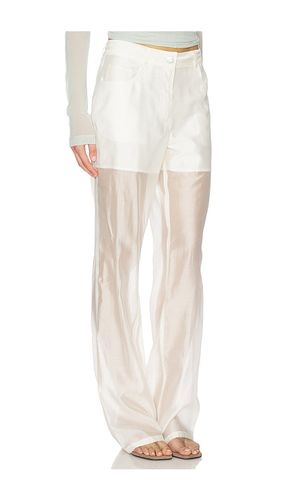 HOSE SHEER BOOTCUT in . Größe 2. Also in 6, 8 - Helmut Lang - Modalova