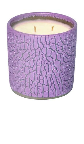 Vela crackle en color morado talla all - Houseplant - Modalova
