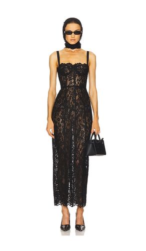 KLEID THE LACE COLUMN in . Größe S. Also in XS, M - Helsa - Modalova