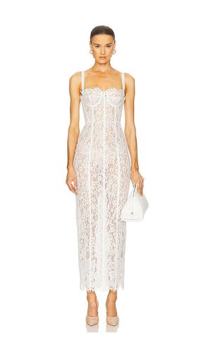 KLEID THE LACE COLUMN in . Größe L. Also in S, XL, XS, XXS - Helsa - Modalova