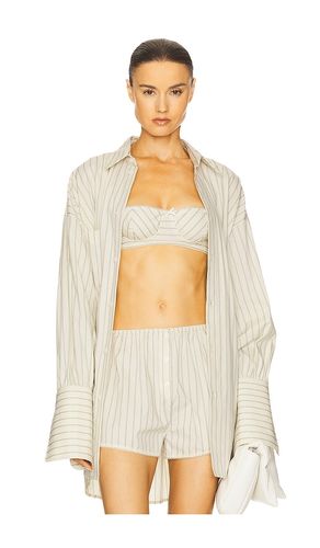 Pinstripe Poplin Bra in . - size L (also in M, S, XL, XXS) - Helsa - Modalova