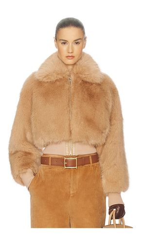 JACKE FAUX FOX BOMBER JACKET in . Größe XS. Also in S, M, L, XL - Helsa - Modalova