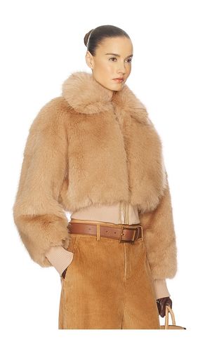 Faux Fox Bomber Jacket in Tan. - size L (also in M, S, XL, XS) - Helsa - Modalova