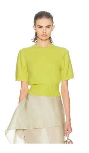 Jesebelle Knit Top in Green. - size M (also in S, XL) - Helsa - Modalova