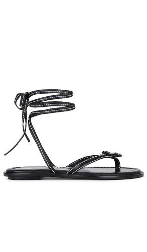 Lace Up Sandal in . - size 35.5 (also in 36, 36.5) - Helsa - Modalova