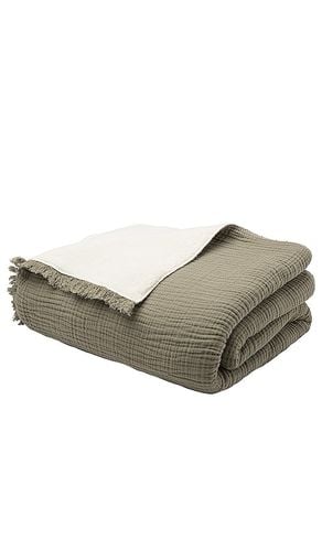 Alaia Sherpa Throw in Green - House No. 23 - Modalova