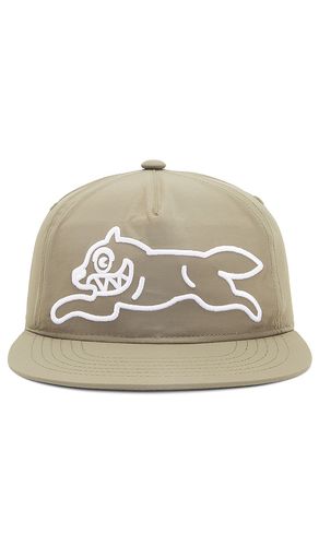 Money's On My Mind Snapback Hat in Green - ICECREAM - Modalova