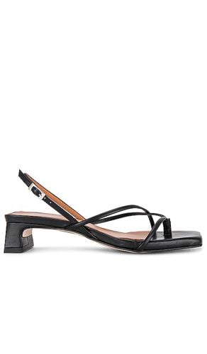 Fifi Sandal in . Size 38 - INTENTIONALLY BLANK - Modalova