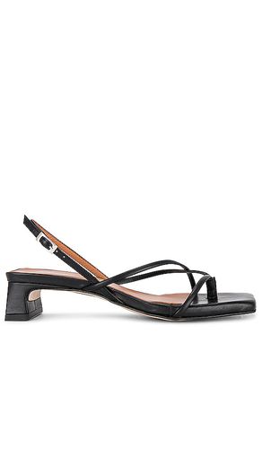 Fifi Sandal in . Taglia 37 - INTENTIONALLY BLANK - Modalova