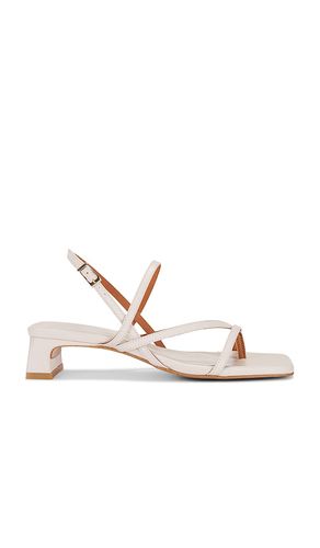 Pup Sandal in . - size 36 (also in 37, 38, 39, 41) - INTENTIONALLY BLANK - Modalova
