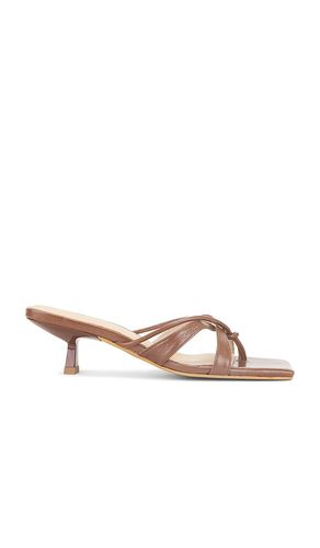 Eli Sandal in Brown. - size 37 (also in 38, 39) - INTENTIONALLY BLANK - Modalova