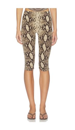 Printed High Waisted Capri Pant in . Size L. Also in M, S, XS - Indah - Modalova