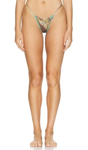Elm Bikini Bottom in Green. - size L (also in XS) - Indah - Modalova