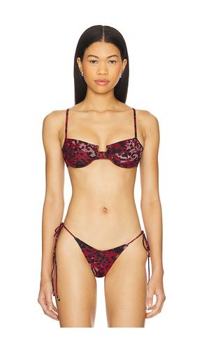 Tutti Printed Underwire Bikini Top in . - size S (also in XS) - Indah - Modalova