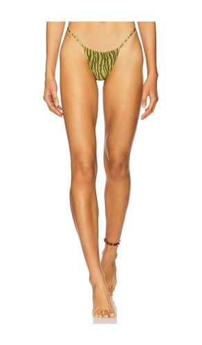 Jane Skimpy Printed Fixed Sides String Bikini Bottom in Green. - size L (also in S, XS) - Indah - Modalova